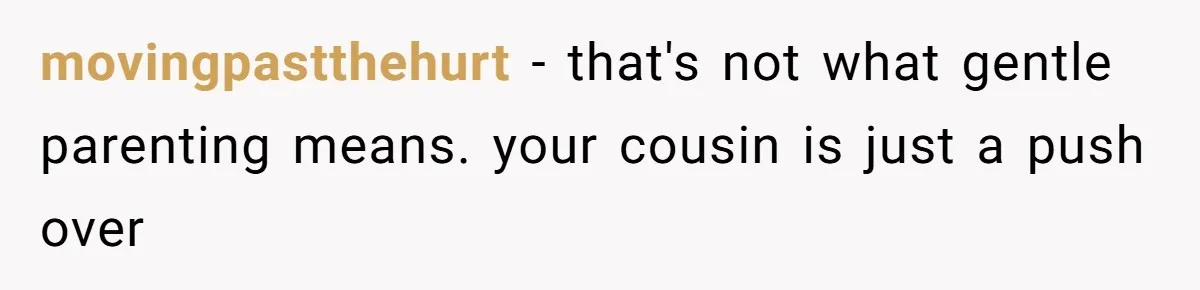 Woman Refuses To Yield During Toddler Meltdown But Faces Stern Family Backlash movingpastthehurt − that's not what gentle parenting means. your cousin is just a push over