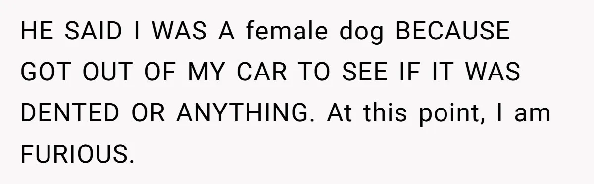 HE SAID I WAS A female dog BECAUSE GOT OUT OF MY CAR TO SEE IF IT WAS DENTED OR ANYTHING. At this point, I am FURIOUS.