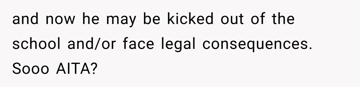 and now he may be kicked out of the school and/or face legal consequences. Sooo AITA?