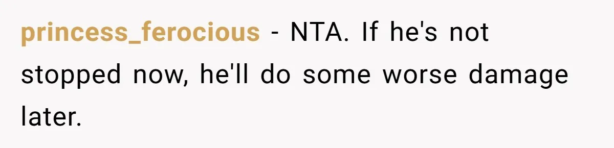 princess_ferocious − NTA. If he's not stopped now, he'll do some worse damage later.
