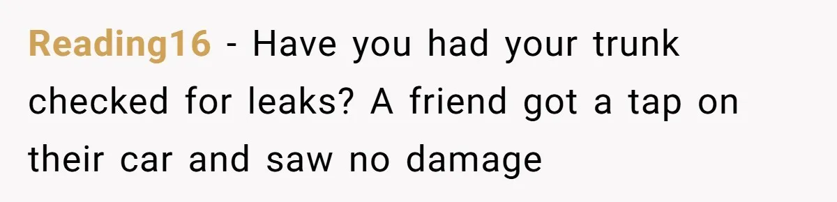 Reading16 − Have you had your trunk checked for leaks? A friend got a tap on their car and saw no damage