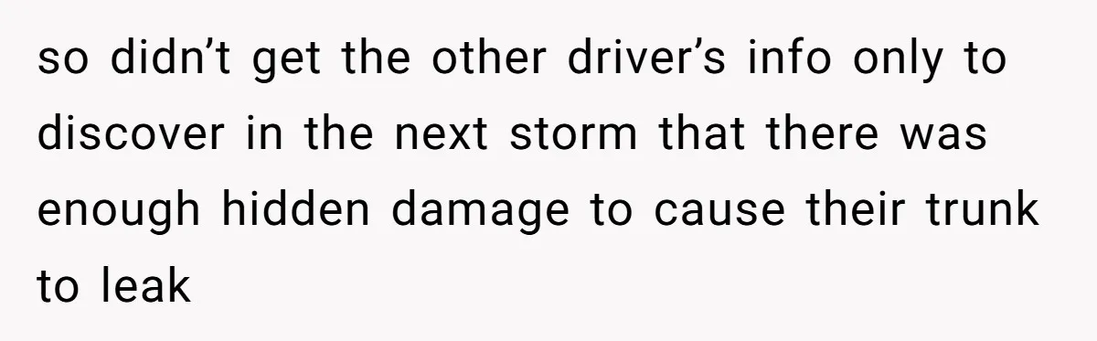 so didn’t get the other driver’s info only to discover in the next storm that there was enough hidden damage to cause their trunk to leak