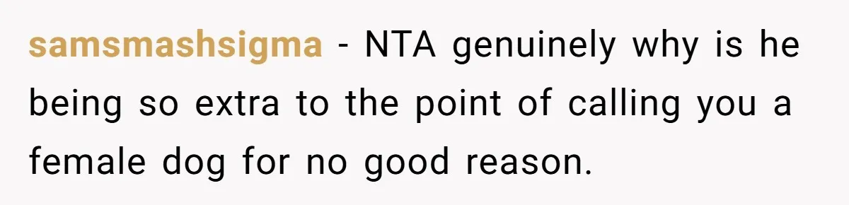 samsmashsigma − NTA genuinely why is he being so extra to the point of calling you a female dog for no good reason.