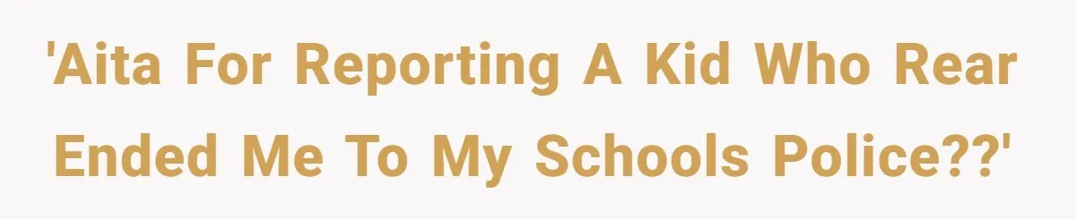 'AITA for reporting a kid who rear ended me to my schools police??'