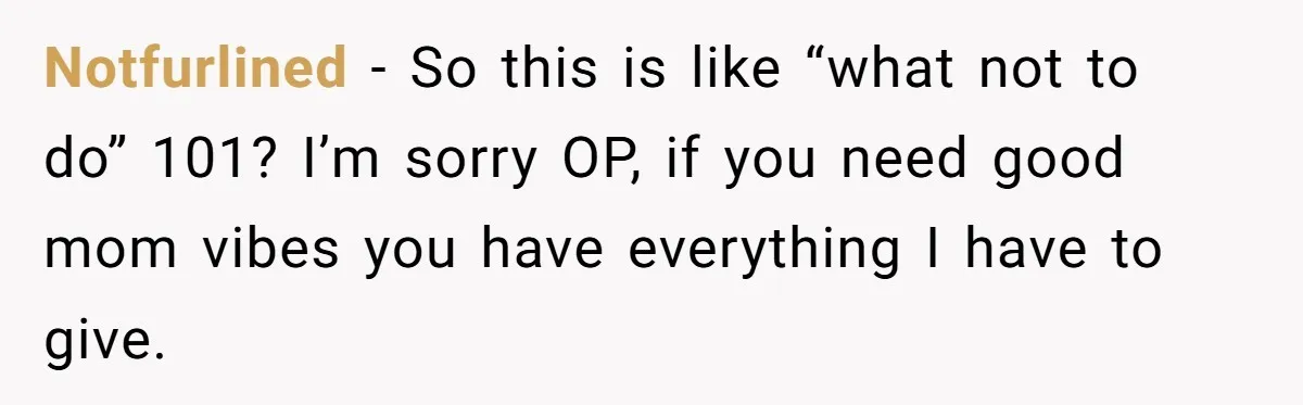 Notfurlined − So this is like “what not to do” 101? I’m sorry OP, if you need good mom vibes you have everything I have to give.