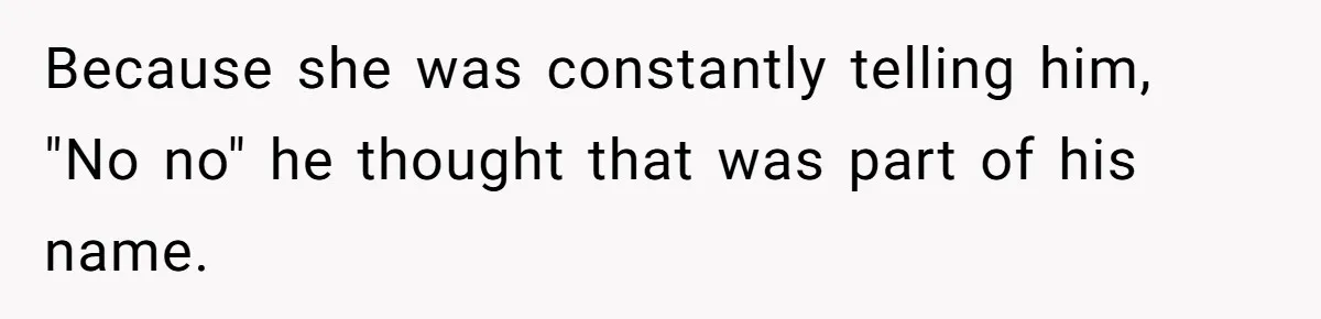 Because she was constantly telling him, "No no" he thought that was part of his name.