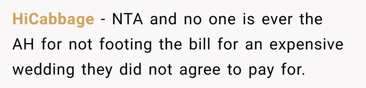 HiCabbage − NTA and no one is ever the AH for not footing the bill for an expensive wedding they did not agree to pay for.