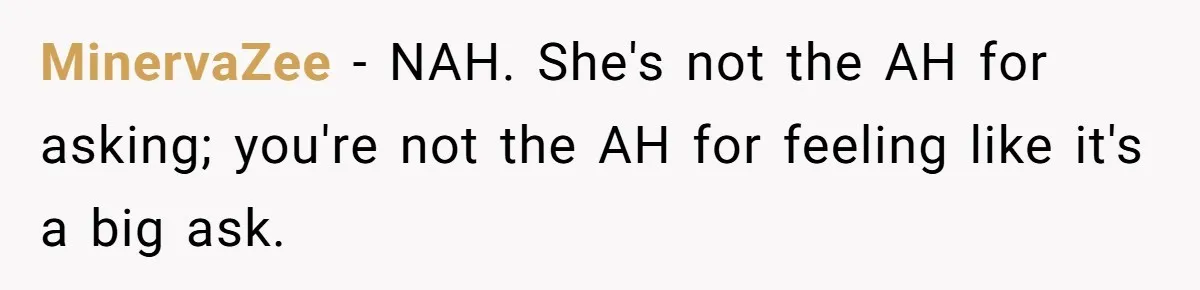 MinervaZee − NAH. She's not the AH for asking; you're not the AH for feeling like it's a big ask.