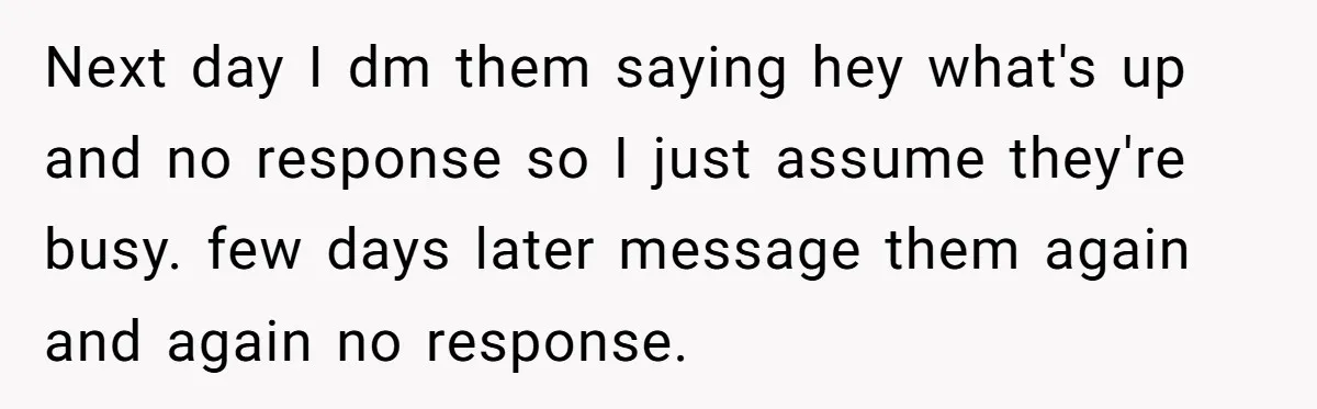 Next day I dm them saying hey what's up and no response so I just assume they're busy. few days later message them again and again no response.