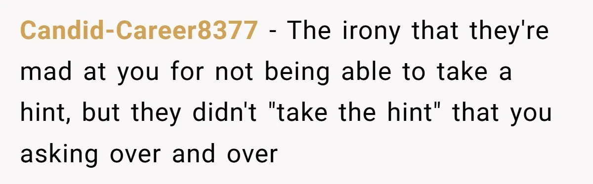 Candid-Career8377 − The irony that they're mad at you for not being able to take a hint, but they didn't "take the hint" that you asking over and over