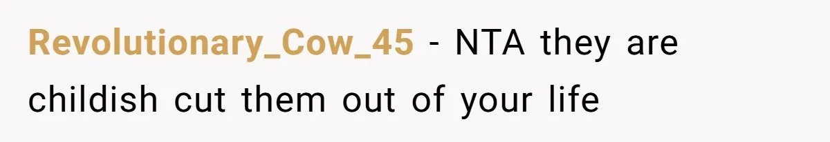 Revolutionary_Cow_45 − NTA they are childish cut them out of your life