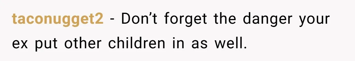 taconugget2 − Don’t forget the danger your ex put other children in as well.