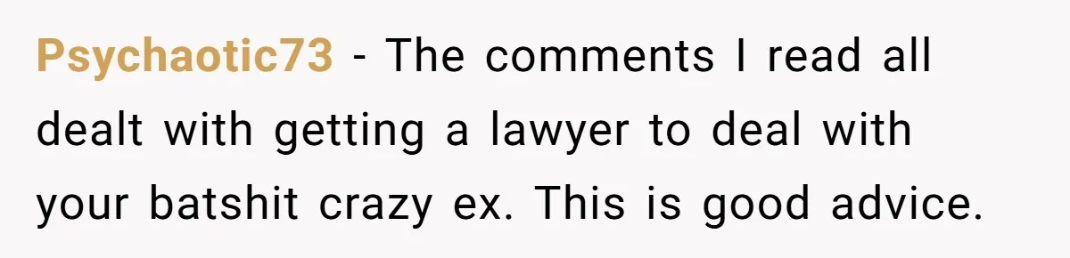 Psychaotic73 − The comments I read all dealt with getting a lawyer to deal with your batshit crazy ex. This is good advice.