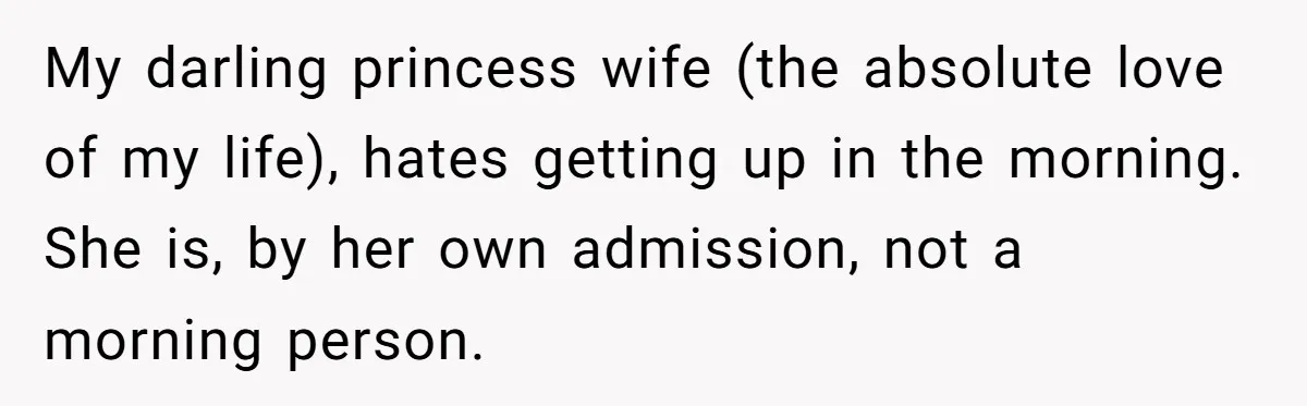My darling princess wife (the absolute love of my life), hates getting up in the morning. She is, by her own admission, not a morning person.
