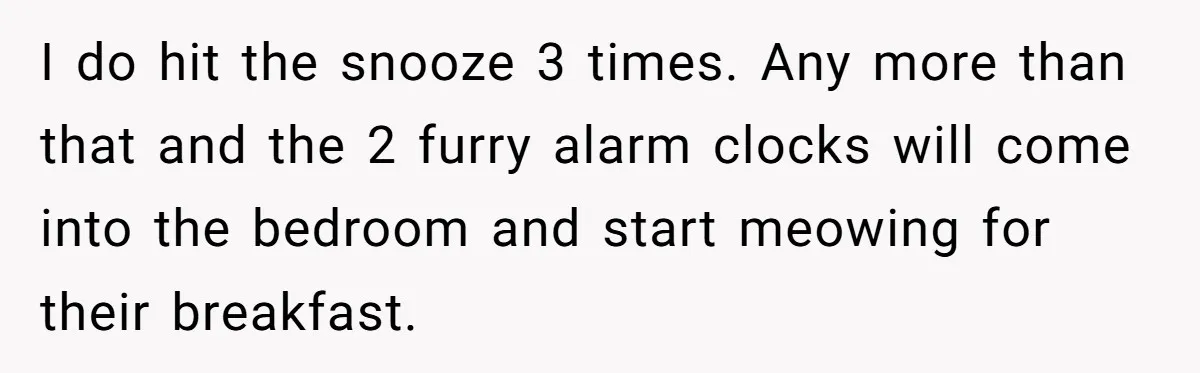 I do hit the snooze 3 times. Any more than that and the 2 furry alarm clocks will come into the bedroom and start meowing for their breakfast.