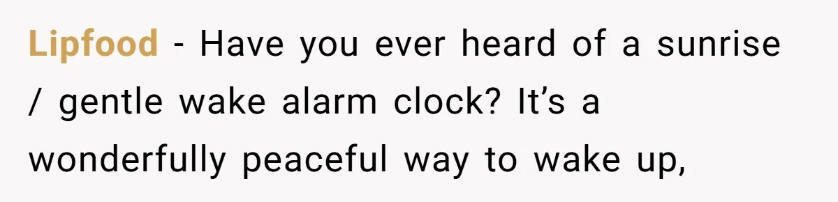 Lipfood − Have you ever heard of a sunrise / gentle wake alarm clock? It’s a wonderfully peaceful way to wake up,