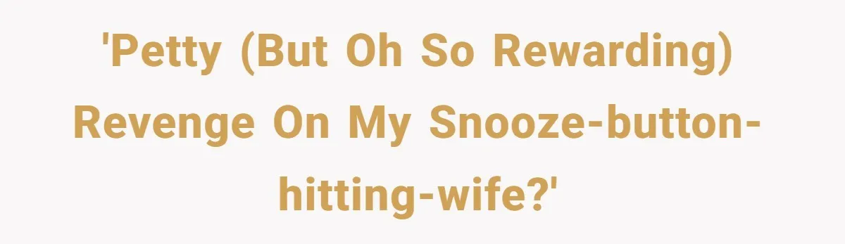 'Petty (but oh so rewarding) revenge on my snooze-button-hitting-wife?'