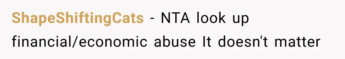 ShapeShiftingCats − NTA look up financial/economic abuse It doesn't matter
