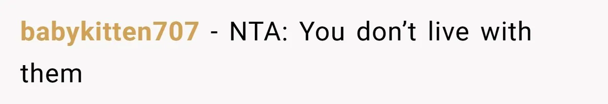 babykitten707 − NTA: You don’t live with them