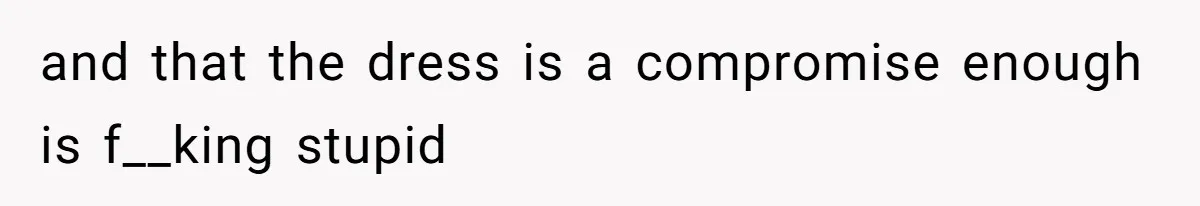 and that the dress is a compromise enough is f__king stupid