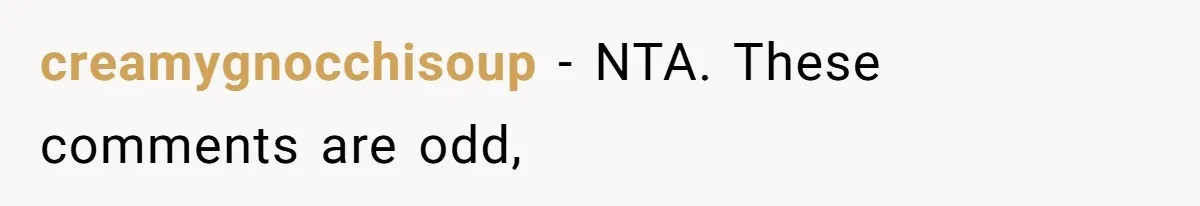 creamygnocchisoup − NTA. These comments are odd,