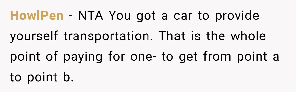 HowlPen − NTA You got a car to provide yourself transportation. That is the whole point of paying for one- to get from point a to point b.