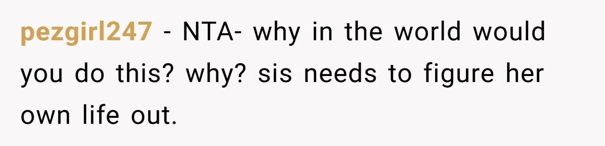 pezgirl247 − NTA- why in the world would you do this? why? sis needs to figure her own life out.