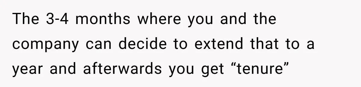The 3-4 months where you and the company can decide to extend that to a year and afterwards you get “tenure”