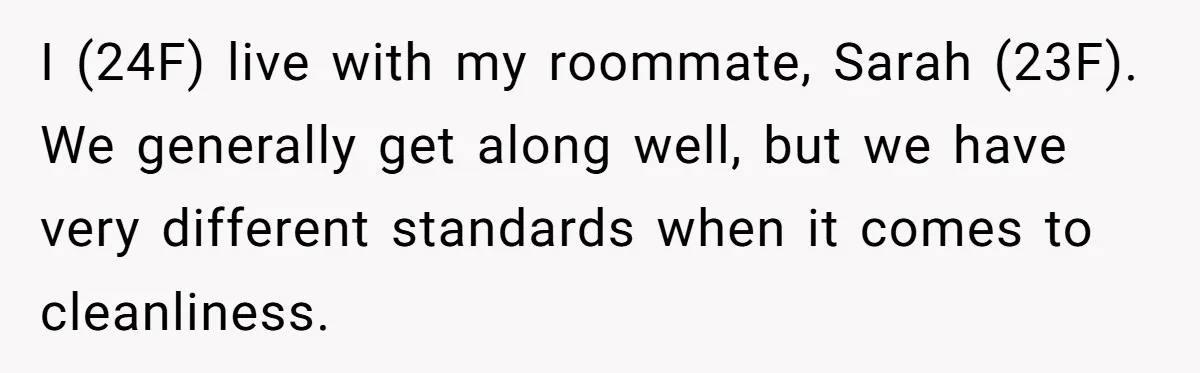 I (24F) live with my roommate, Sarah (23F). We generally get along well, but we have very different standards when it comes to cleanliness.
