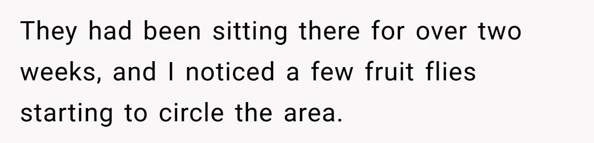 They had been sitting there for over two weeks, and I noticed a few fruit flies starting to circle the area.