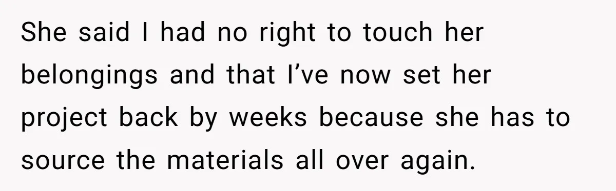 She said I had no right to touch her belongings and that I’ve now set her project back by weeks because she has to source the materials all over again.