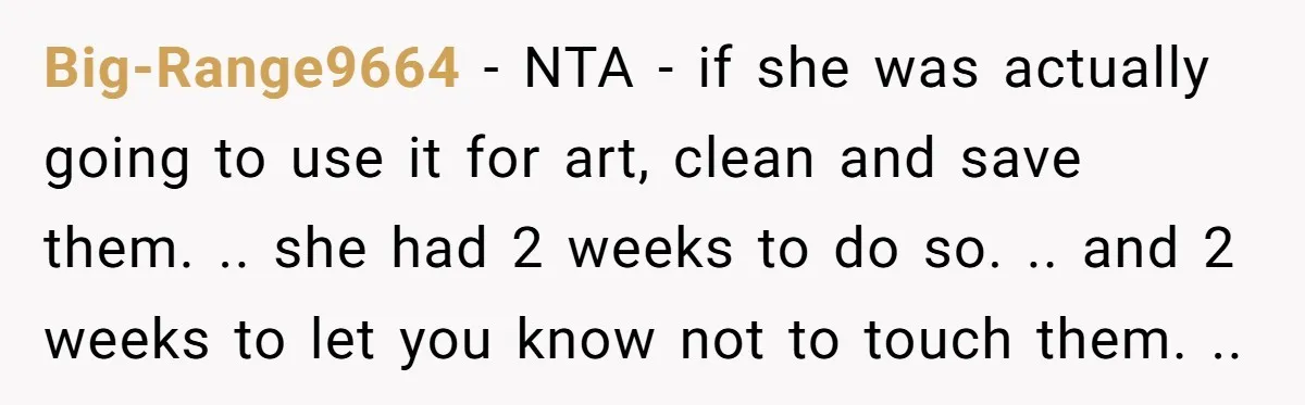 Big-Range9664 − NTA - if she was actually going to use it for art, clean and save them. .. she had 2 weeks to do so. .. and 2 weeks...