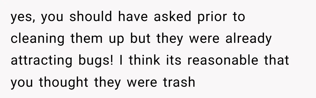 yes, you should have asked prior to cleaning them up but they were already attracting bugs! I think its reasonable that you thought they were trash