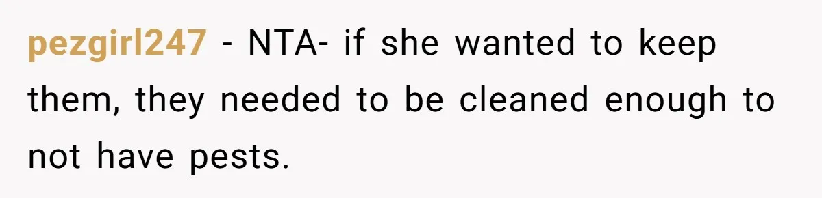 pezgirl247 − NTA- if she wanted to keep them, they needed to be cleaned enough to not have pests.
