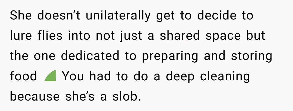She doesn’t unilaterally get to decide to lure flies into not just a shared space but the one dedicated to preparing and storing food 🤢 You had to do a...