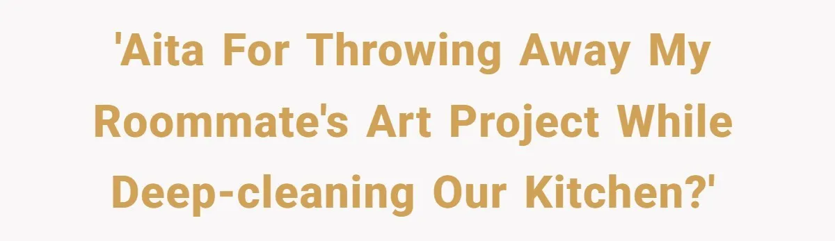 'AITA for throwing away my roommate's art project while deep-cleaning our kitchen?'