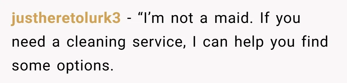 justheretolurk3 − “I’m not a maid. If you need a cleaning service, I can help you find some options.