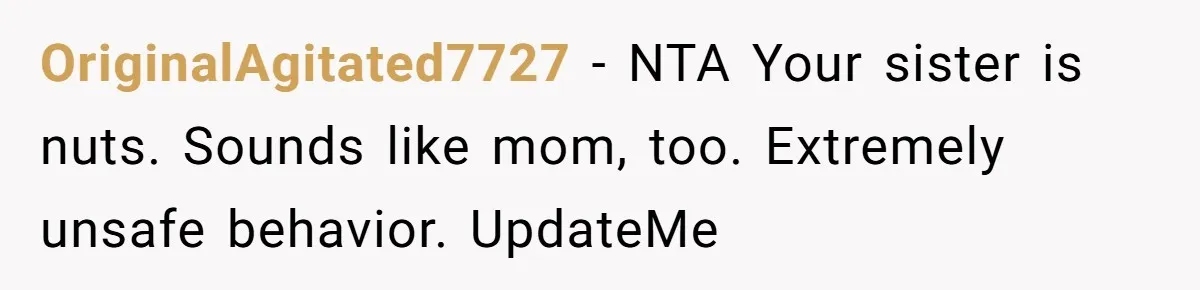 OriginalAgitated7727 − NTA Your sister is nuts. Sounds like mom, too. Extremely unsafe behavior. UpdateMe