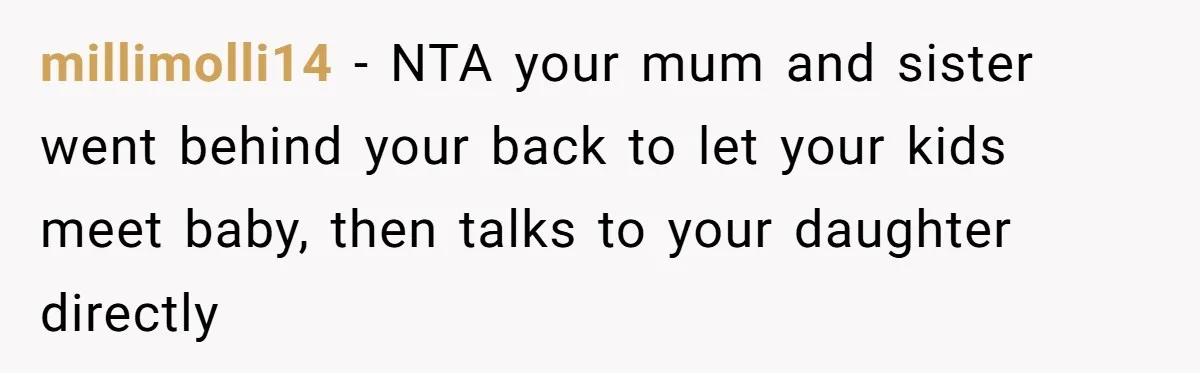 millimolli14 − NTA your mum and sister went behind your back to let your kids meet baby, then talks to your daughter directly