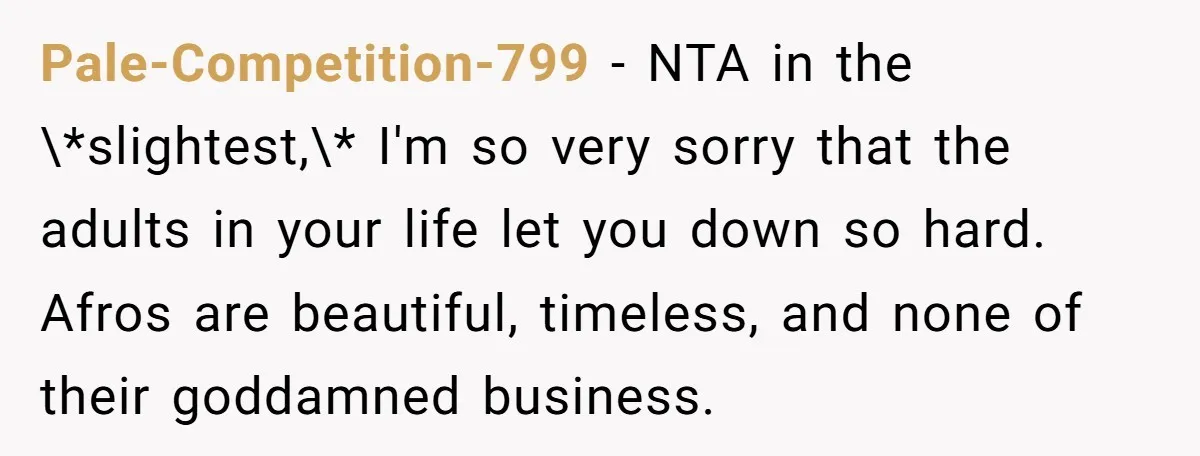 Pale-Competition-799 − NTA in the \*slightest,\* I'm so very sorry that the adults in your life let you down so hard. Afros are beautiful, timeless, and none of their goddamned...