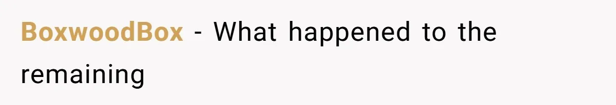 BoxwoodBox − What happened to the remaining