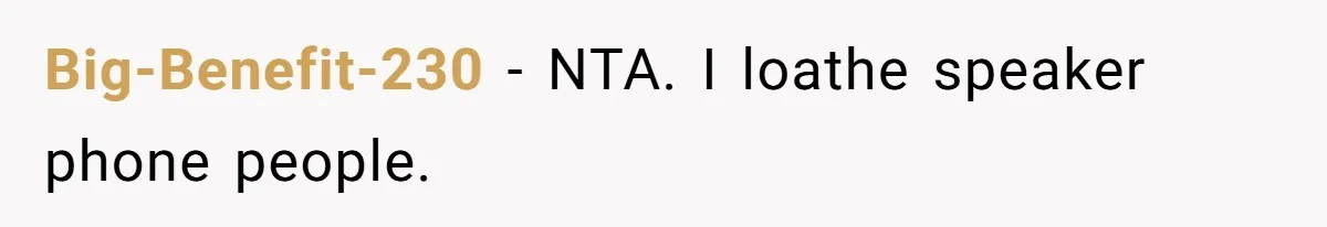 Big-Benefit-230 − NTA. I loathe speaker phone people.