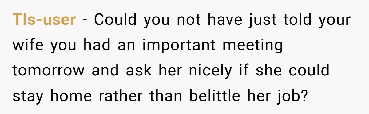 Tls-user − Could you not have just told your wife you had an important meeting tomorrow and ask her nicely if she could stay home rather than belittle her job?