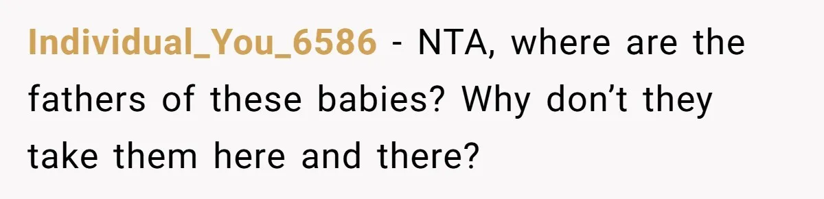 Individual_You_6586 − NTA, where are the fathers of these babies? Why don’t they take them here and there?