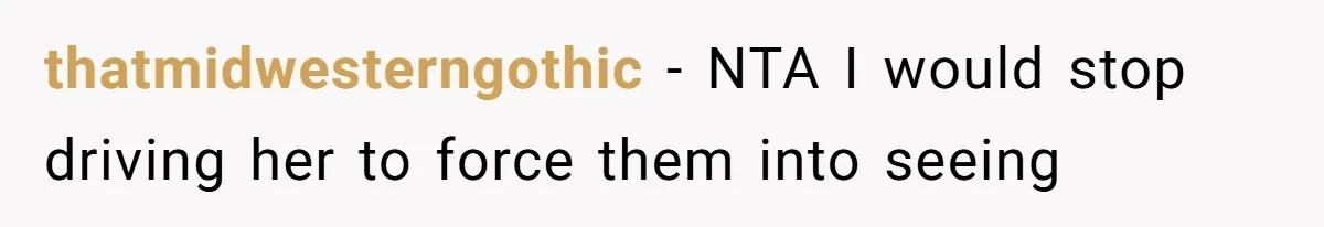 thatmidwesterngothic − NTA I would stop driving her to force them into seeing