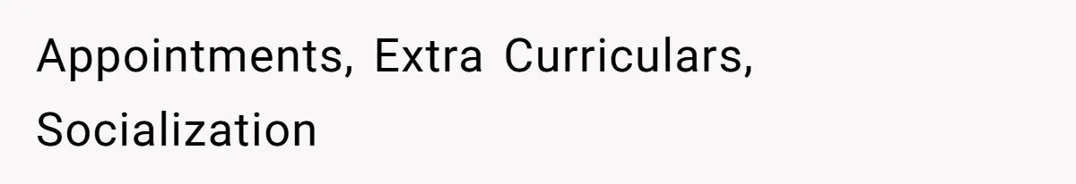 Appointments, Extra Curriculars, Socialization