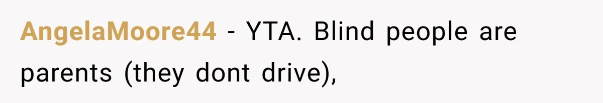 AngelaMoore44 − YTA. Blind people are parents (they dont drive),