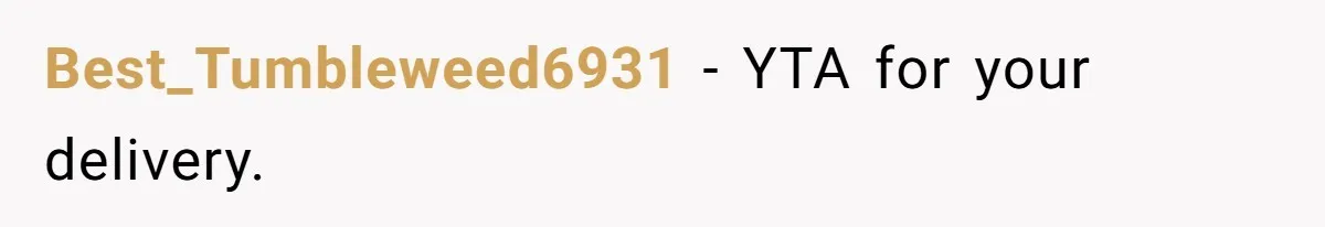 Best_Tumbleweed6931 − YTA for your delivery.