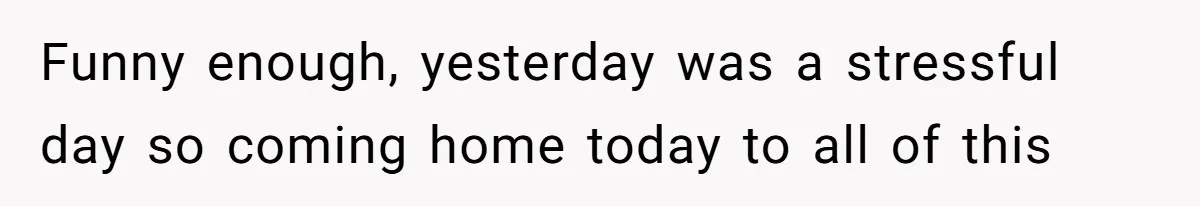 Funny enough, yesterday was a stressful day so coming home today to all of this