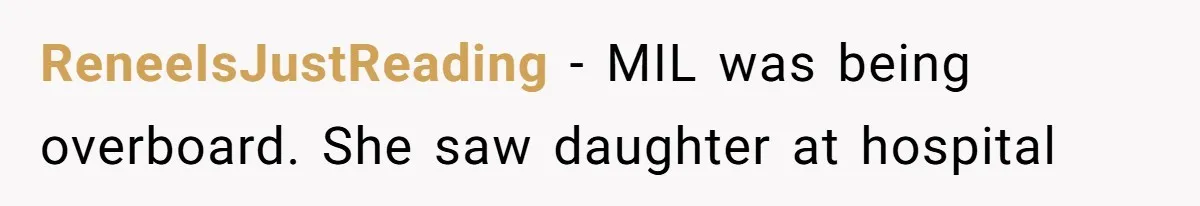 ReneeIsJustReading − MIL was being overboard. She saw daughter at hospital